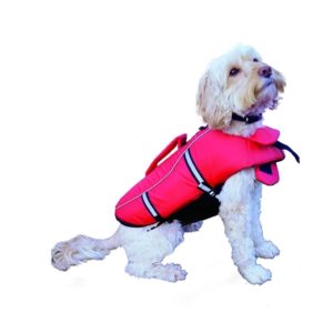 life jacket for dogs