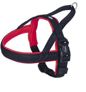 black and red dog harness