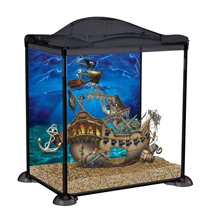 Fish tanks & aquariums at Cuddles Pet Store