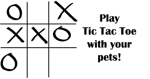 How to play tic tac toe with your cat